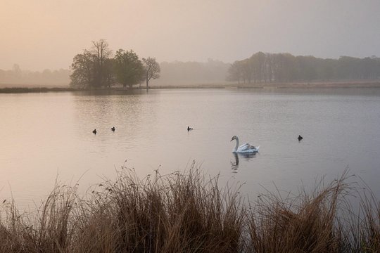 Tour image 13